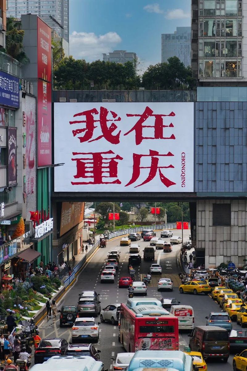 露地西瓜在田间采收时的形态与果皮纹路